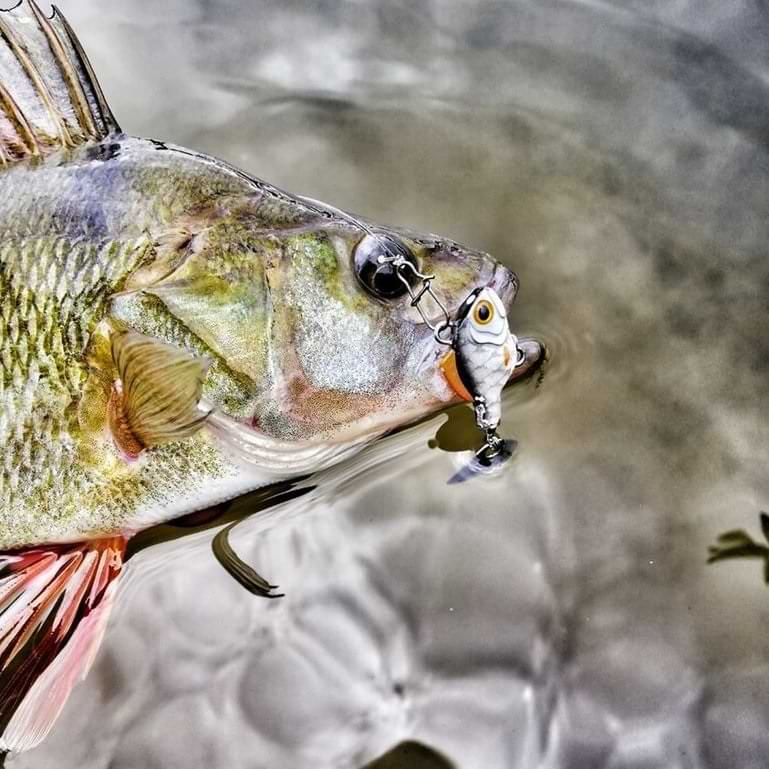 SPRO ASP Spinner UV 28g