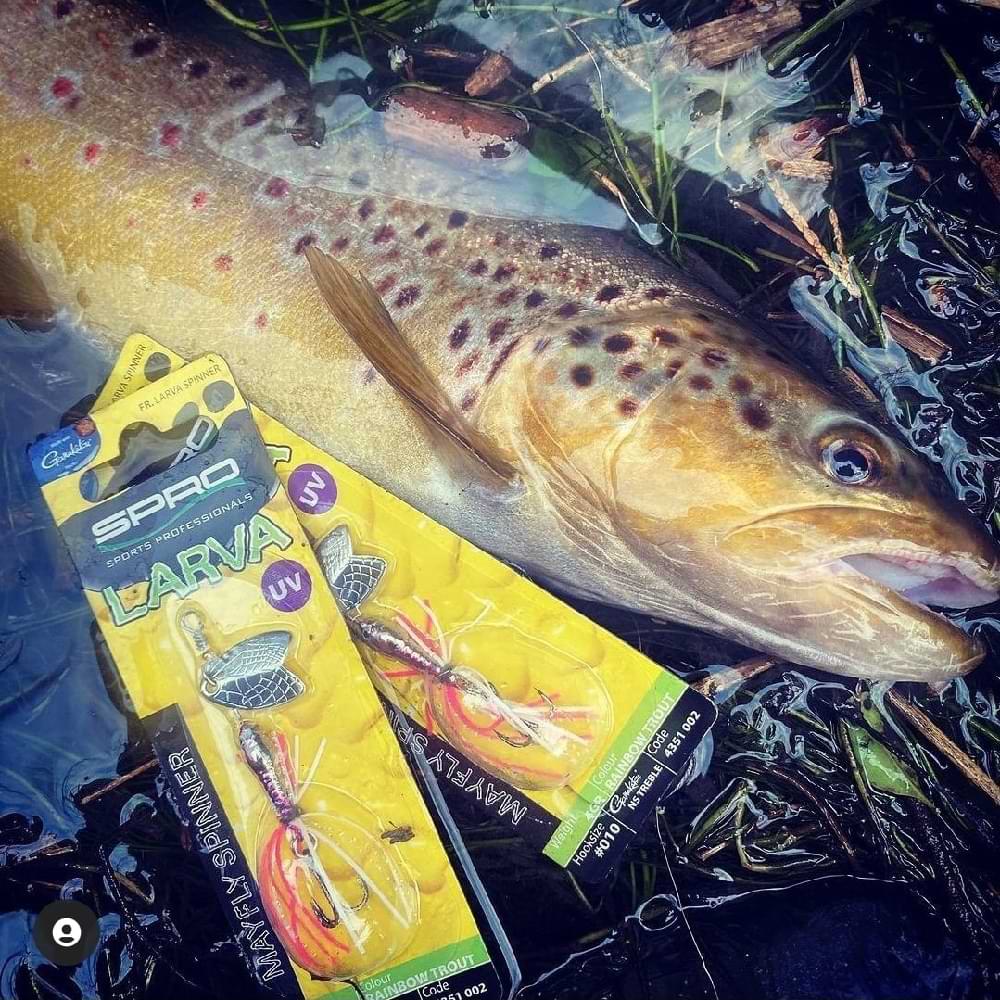 SPRO Larva Mayfly Micro Spinner Treble Hook 5cm 4g