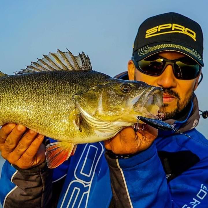 SPRO Ikiru Naturals Silent Jerk SLS 95 15g