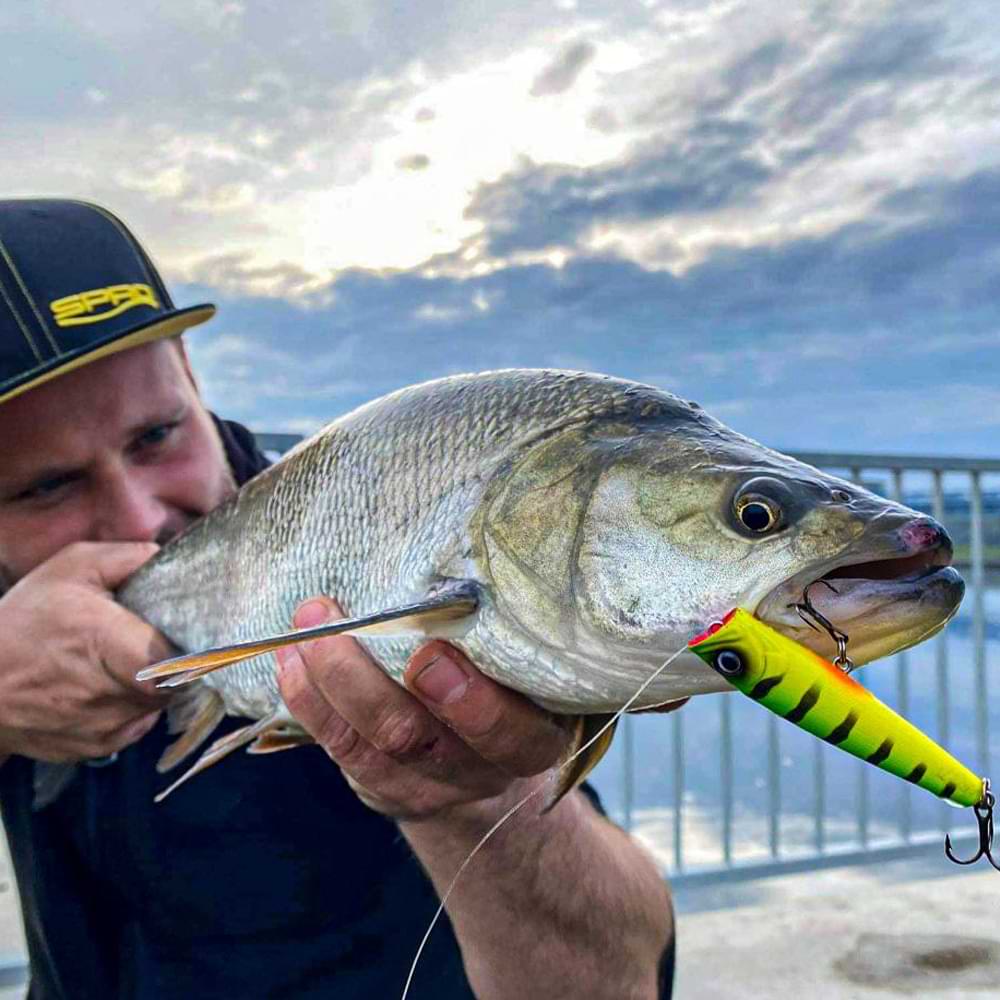 SPRO Ikiru Pop 65 FL 6g