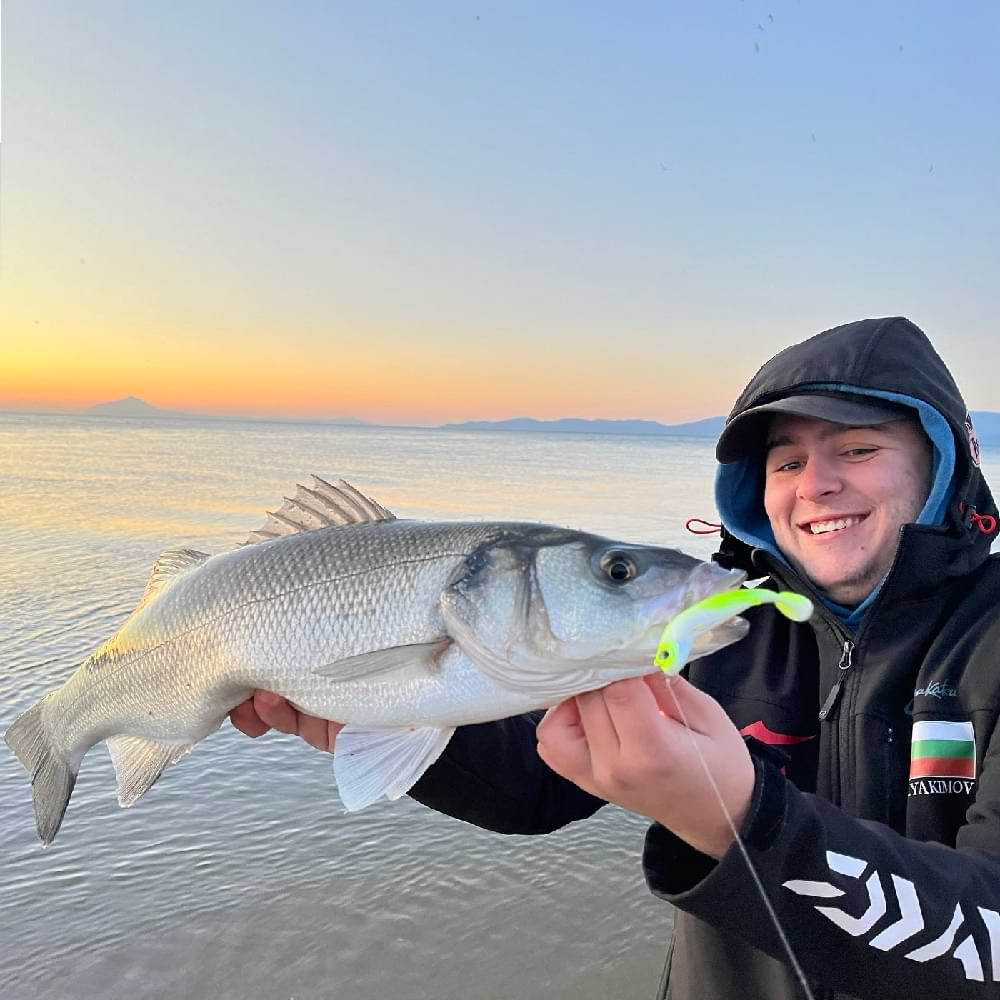 SPRO Gutsbait Salt 10.5cm 10g