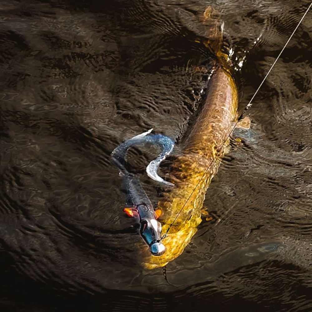 SPRO Iris Shocktail 20cm 18g