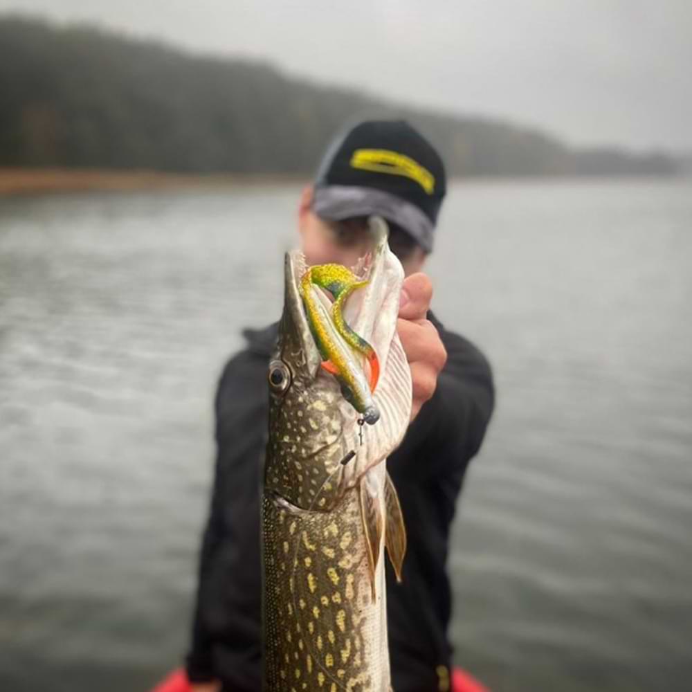 SPRO Iris Shocktail 20cm 18g