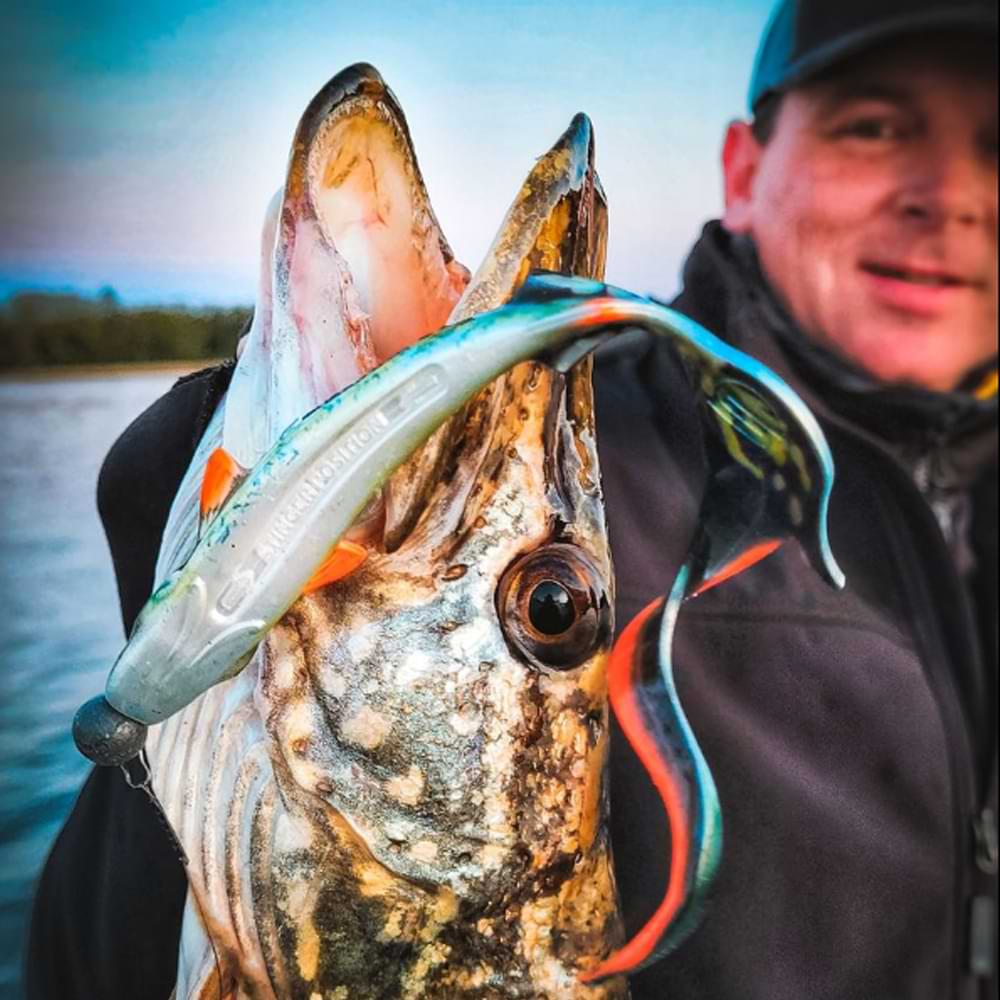 SPRO Iris Shocktail 20cm 18g