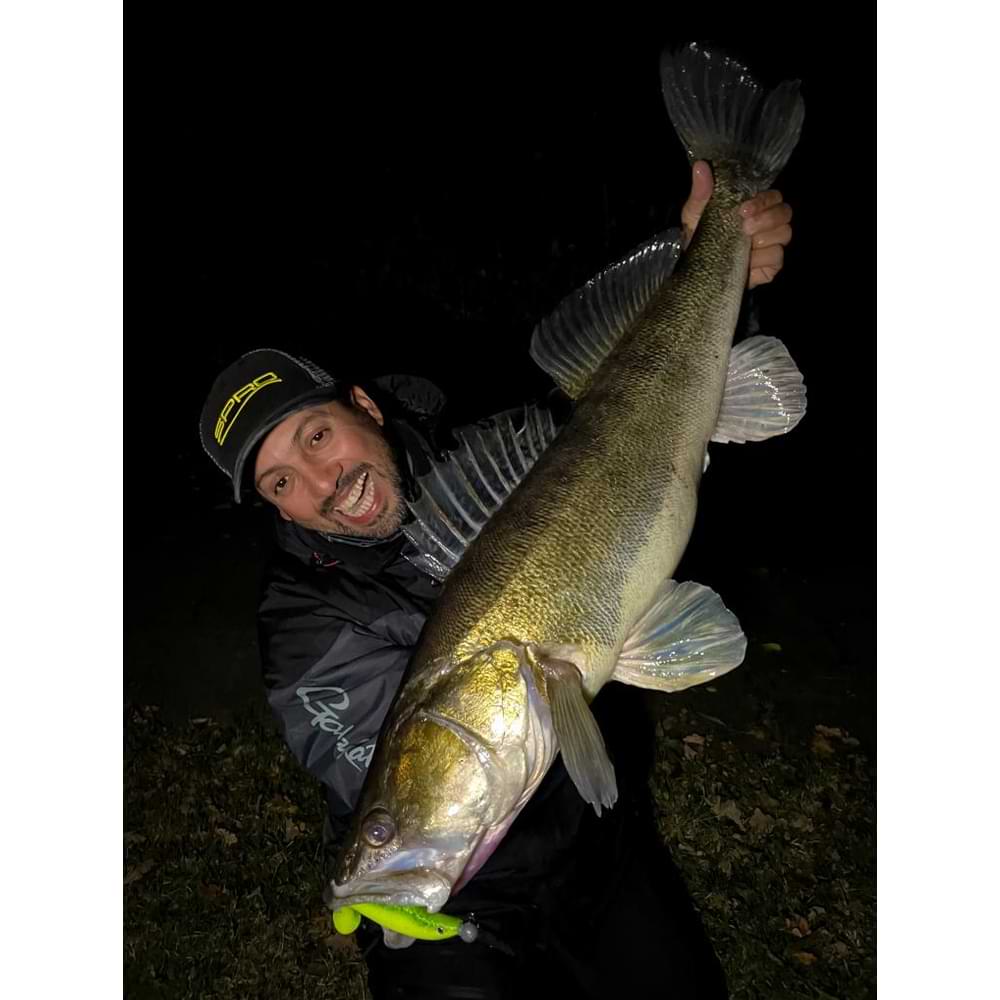 SPRO Iris The Shad 12cm 13g