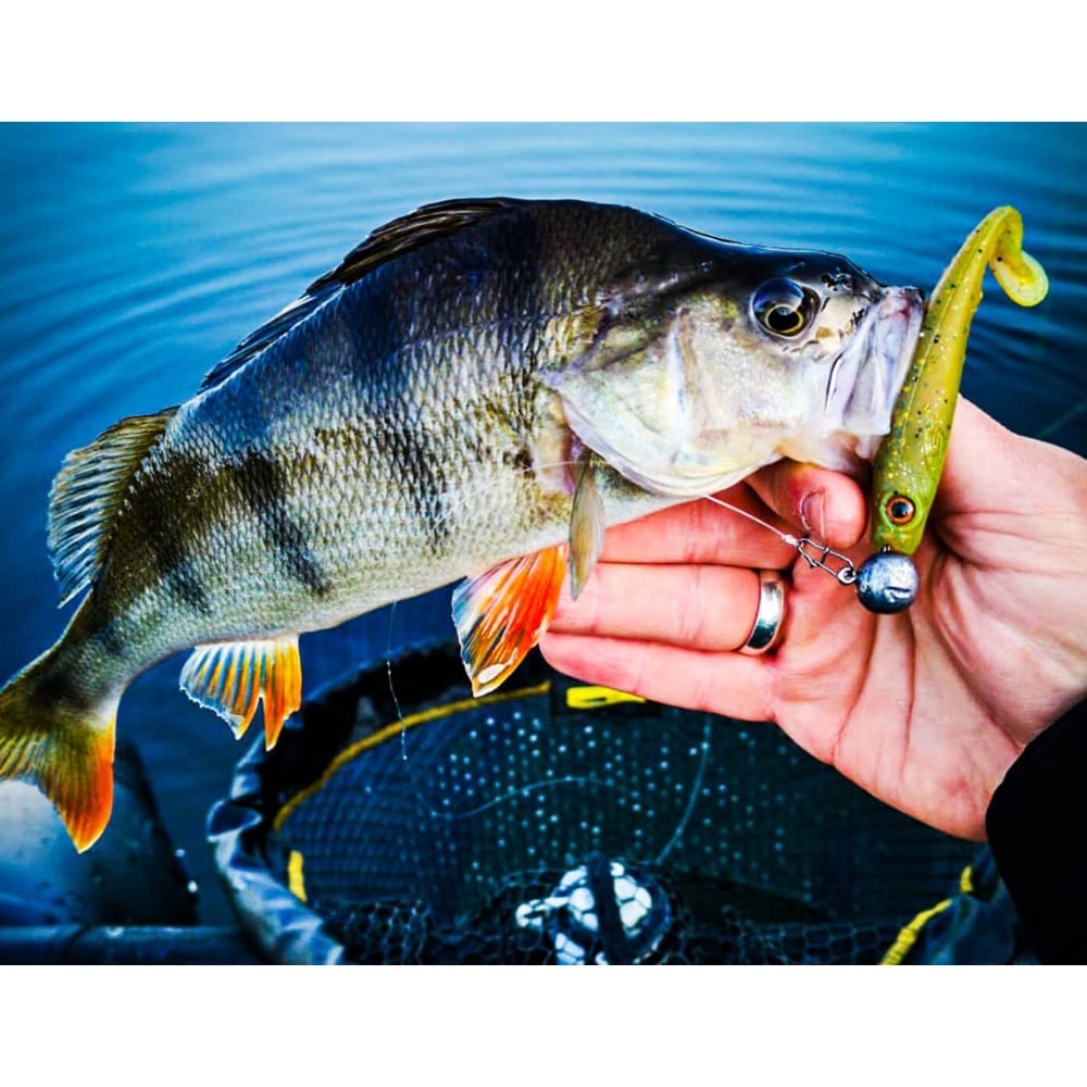 SPRO Iris Popeye 14cm 15g