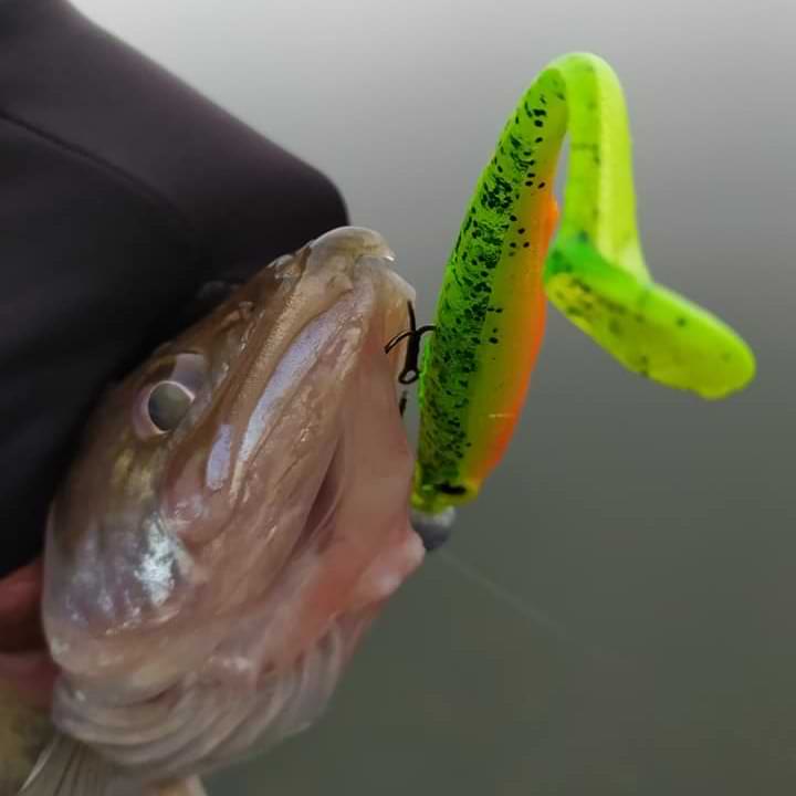 SPRO Iris Popeye 10cm 7g