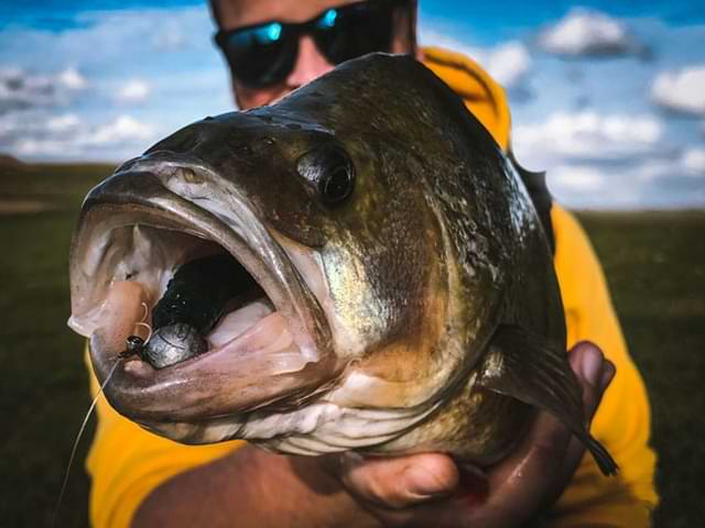 SPRO Scent Insta Shad 2.8g 6.5cm