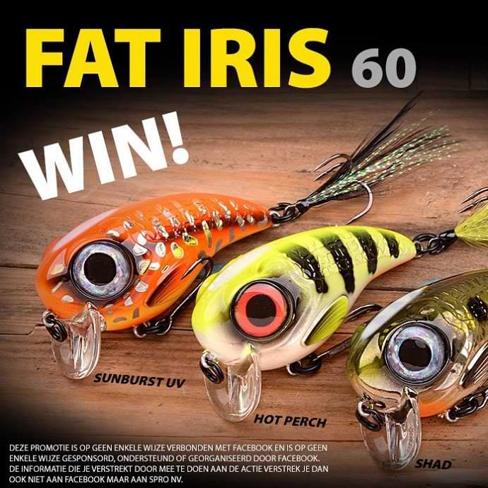 SPRO Fat IRIS 60 17g