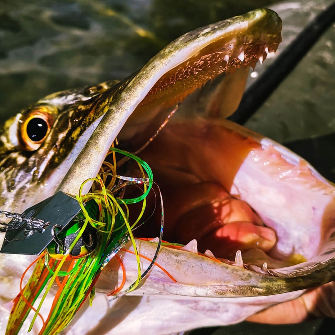 SPRO IRIS Thrillseeker 24g