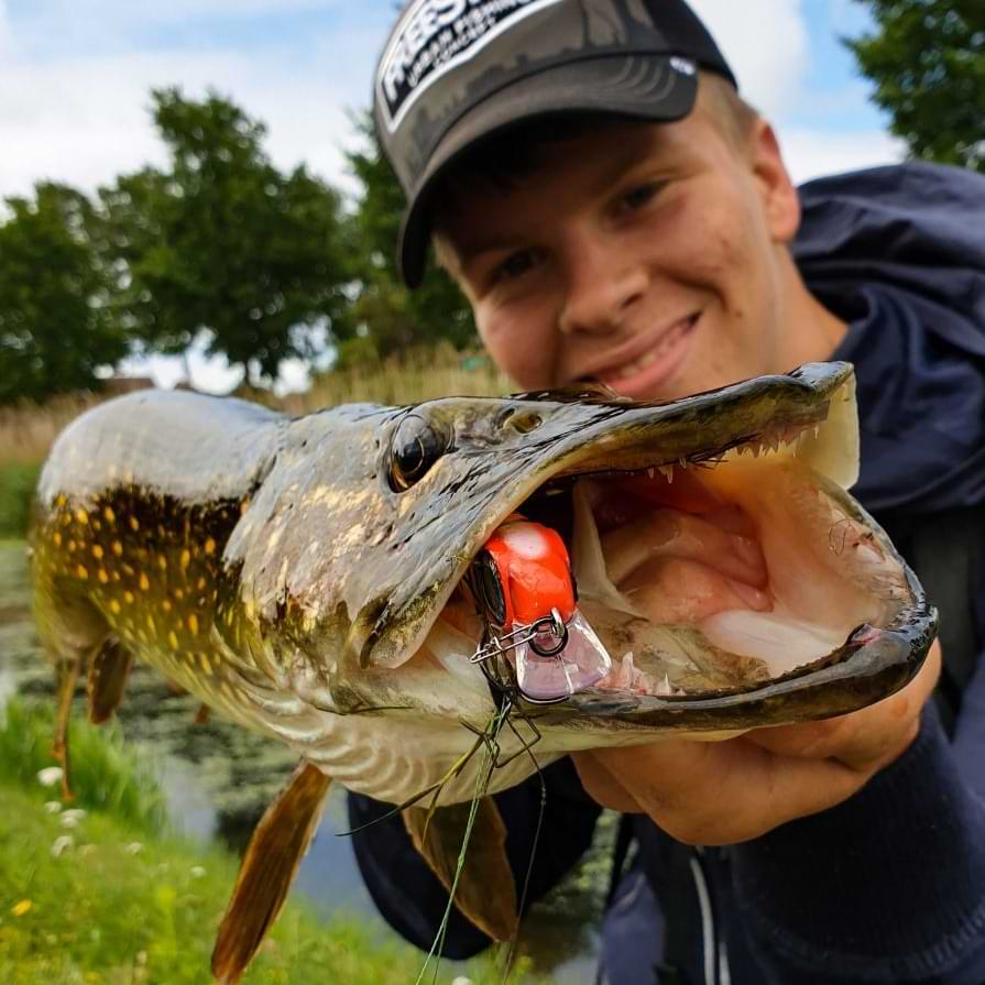 SPRO Iris Underdog 70mm 13g