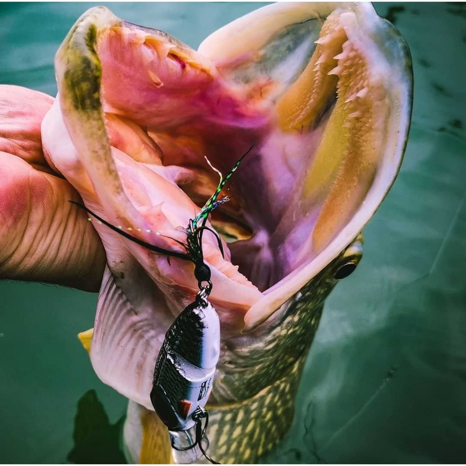 SPRO IRIS Underdog Jointed 80 18g