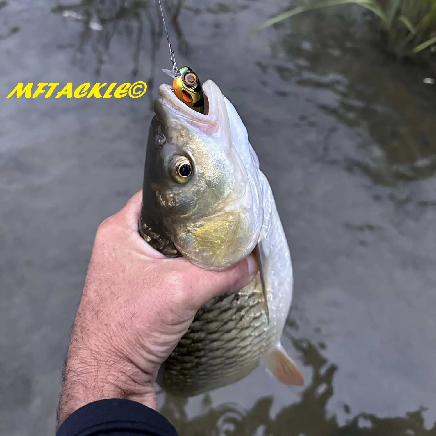 SPRO Fat IRIS 40 5.4g