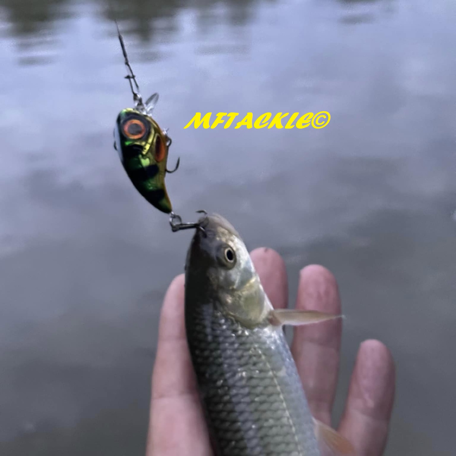 SPRO Fat IRIS 40 5.4g