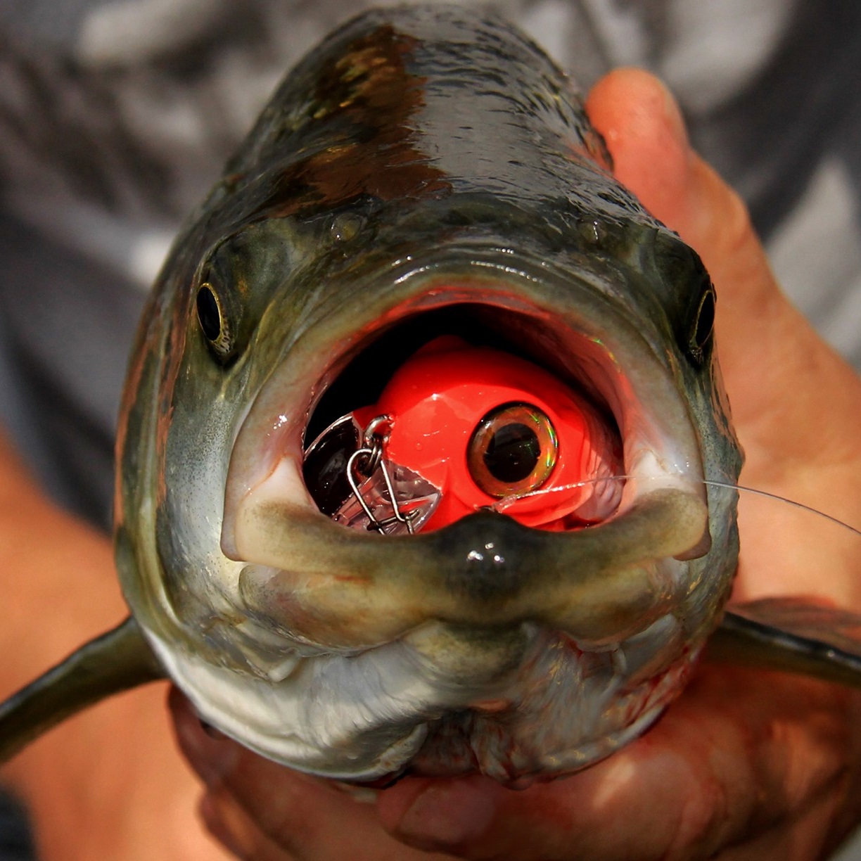 SPRO Fat IRIS 40 DR 6.2g