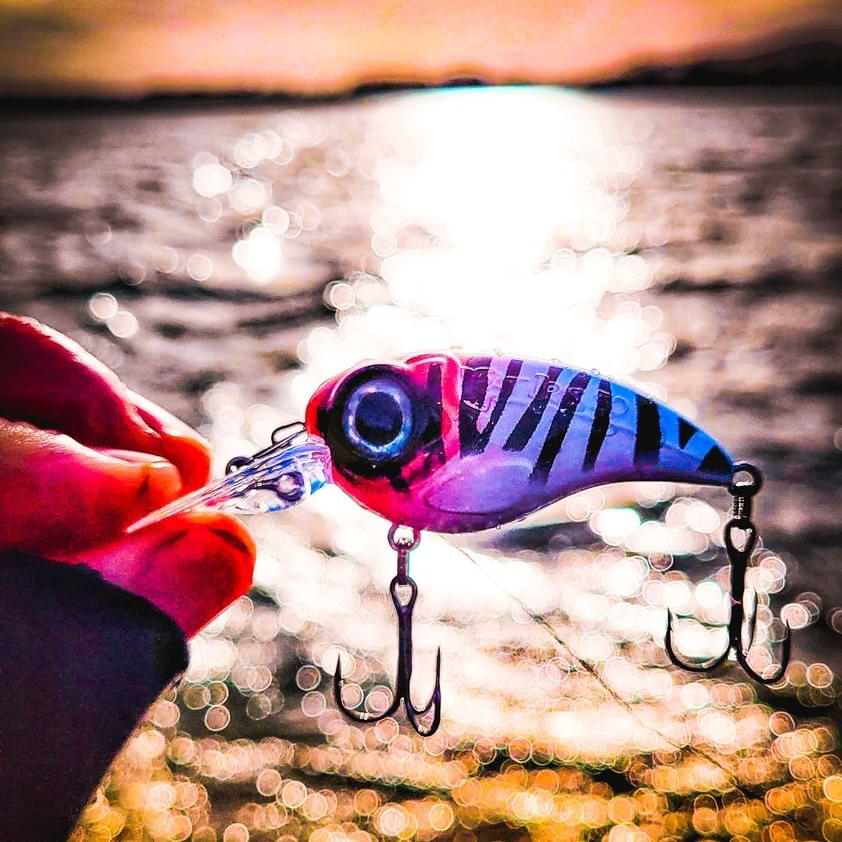 SPRO Fat IRIS 50 CR 10g