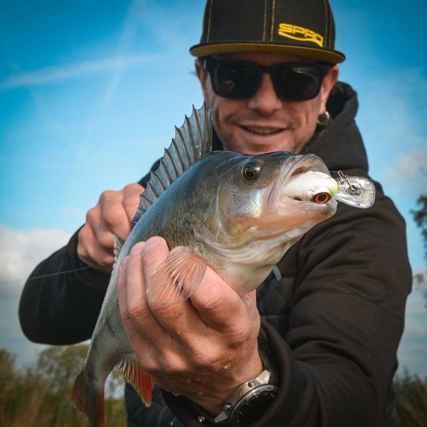 SPRO Fat IRIS 50 CR 10g