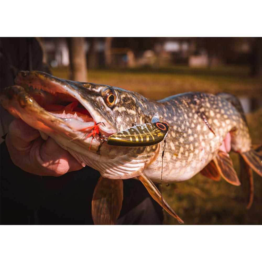 SPRO IRIS Flanky 90 9cm 20g