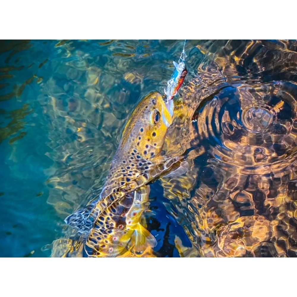 SPRO IRIS The Kid 48 4.8cm 6.3g Fast Sinking