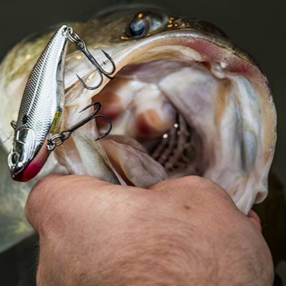 SPRO Aruku Shad 60mm 10g