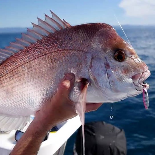 STORM Gomoku Slow Rocker 40g