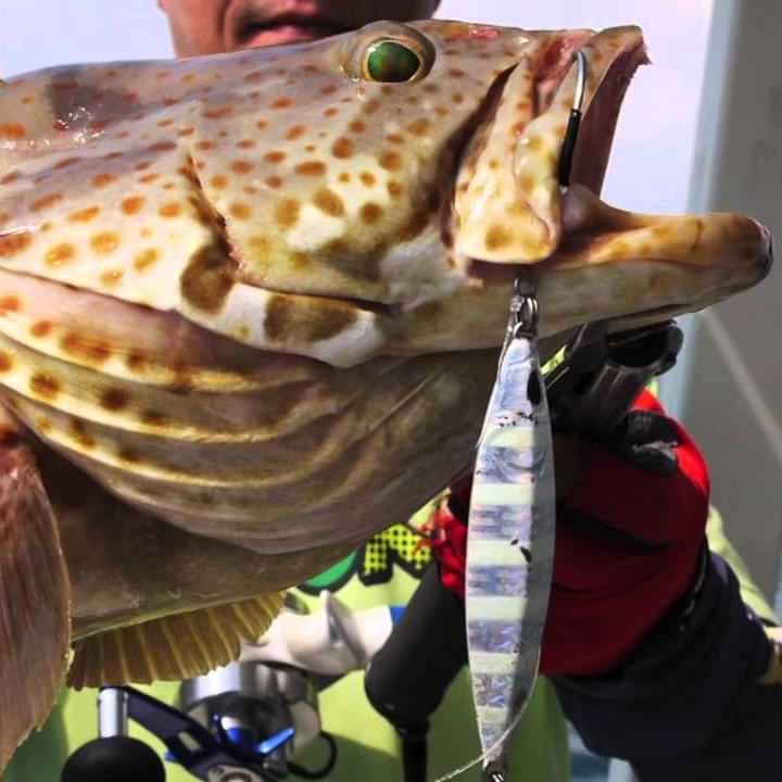 STORM Gomoku Koika 80gr