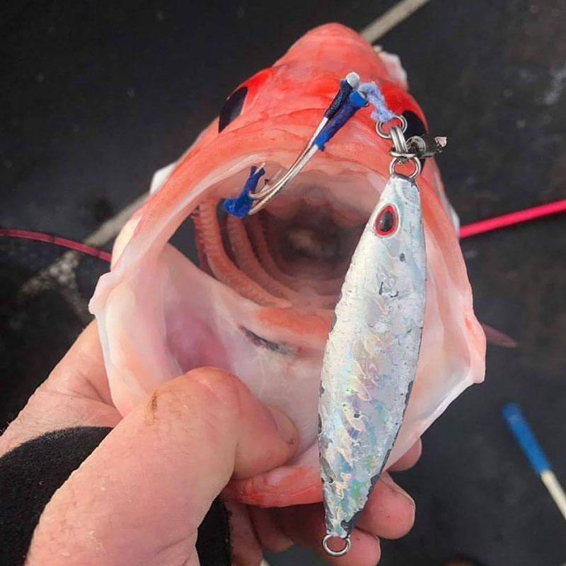 STORM Gomoku Koika 60gr