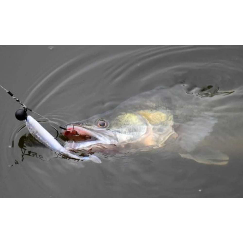 SAVAGE GEAR Craft Bleak 10cm 6.8g