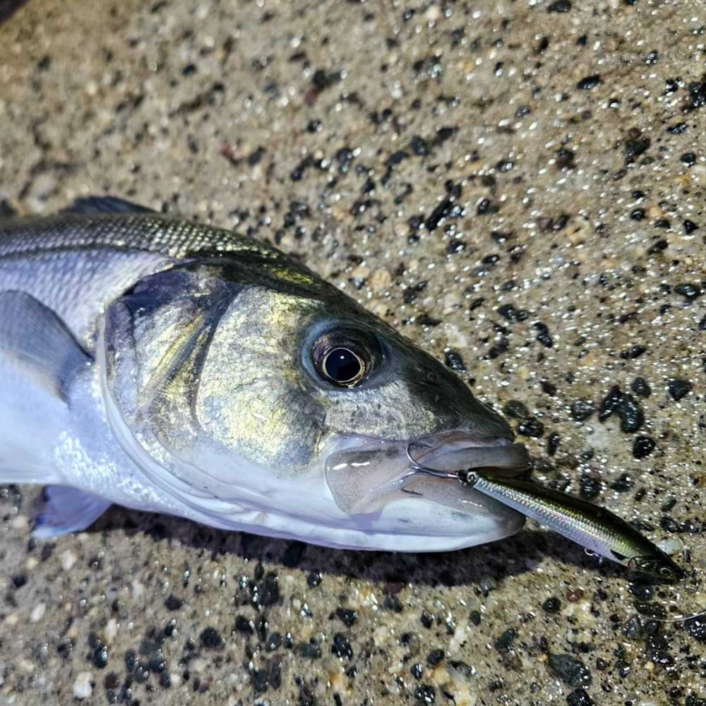 SAVAGE GEAR Gravity Pencil Slim 6.5cm 7g Sinking