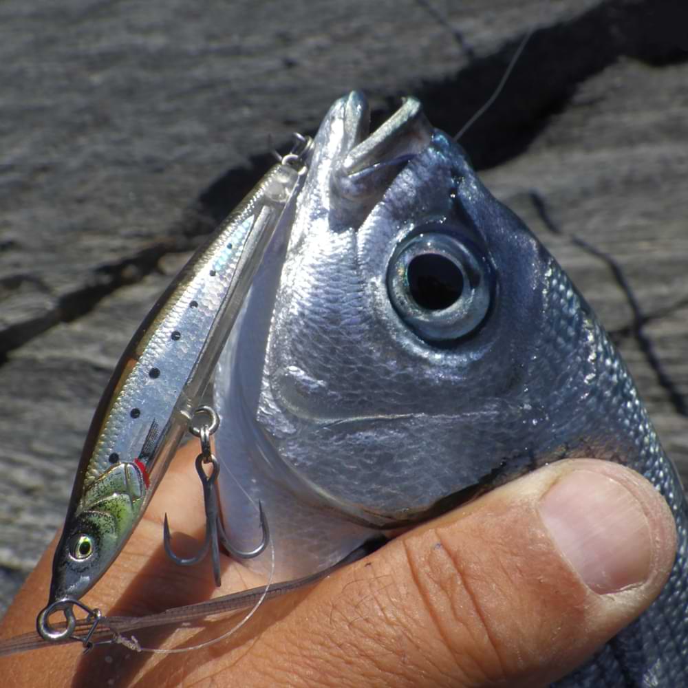 SAVAGE GEAR Gravity Pencil Slim 6.5cm 7g Sinking