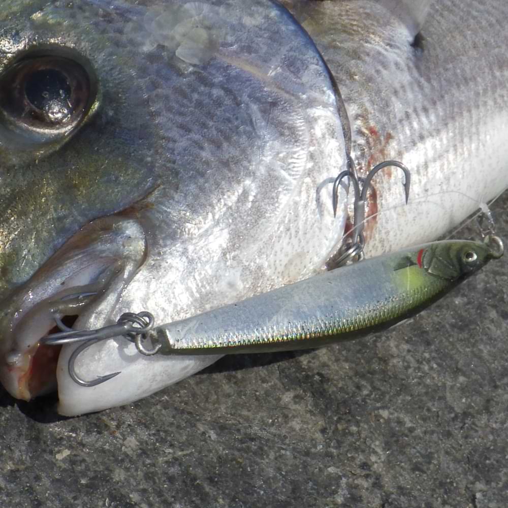 SAVAGE GEAR Gravity Pencil Slim 6.5cm 7g Sinking