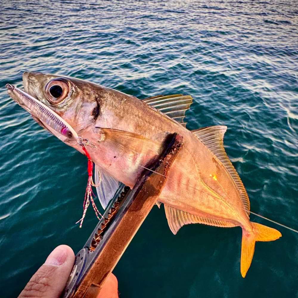 SAVAGE GEAR Sardine Slider Micro 5.8cm 8g