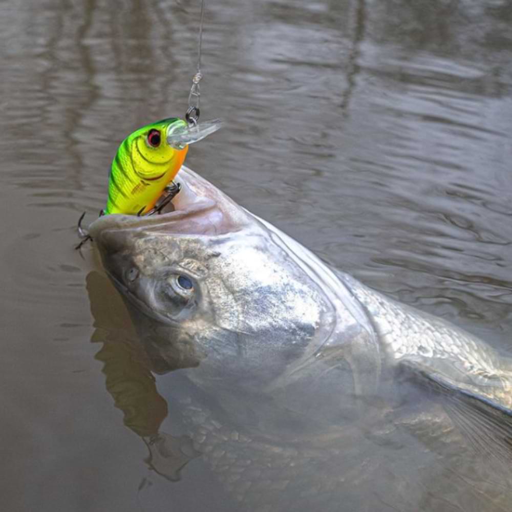 SAVAGE GEAR Petit Gravity Crank 4cm 4.3g SR Floating