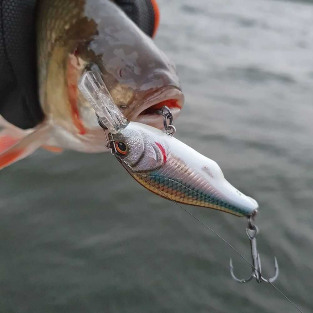 SAVAGE GEAR Petit Gravity Crank 4cm 5.3g DR Floating