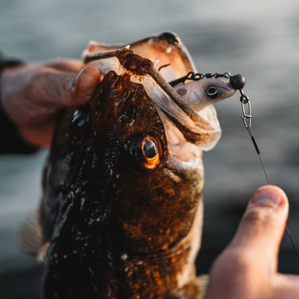 SAVAGE GEAR Collapser 22cm 44g 2pcs