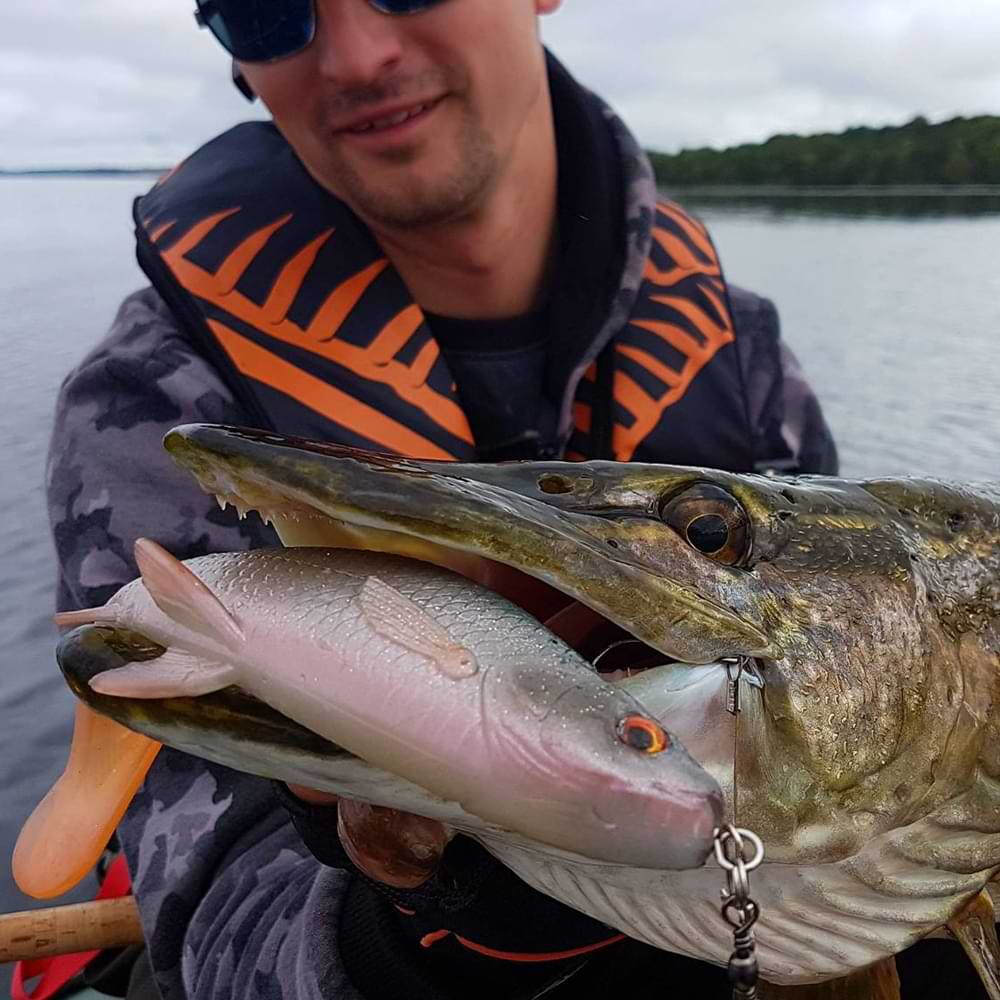 SAVAGE GEAR 3D River Roach 8cm 5g