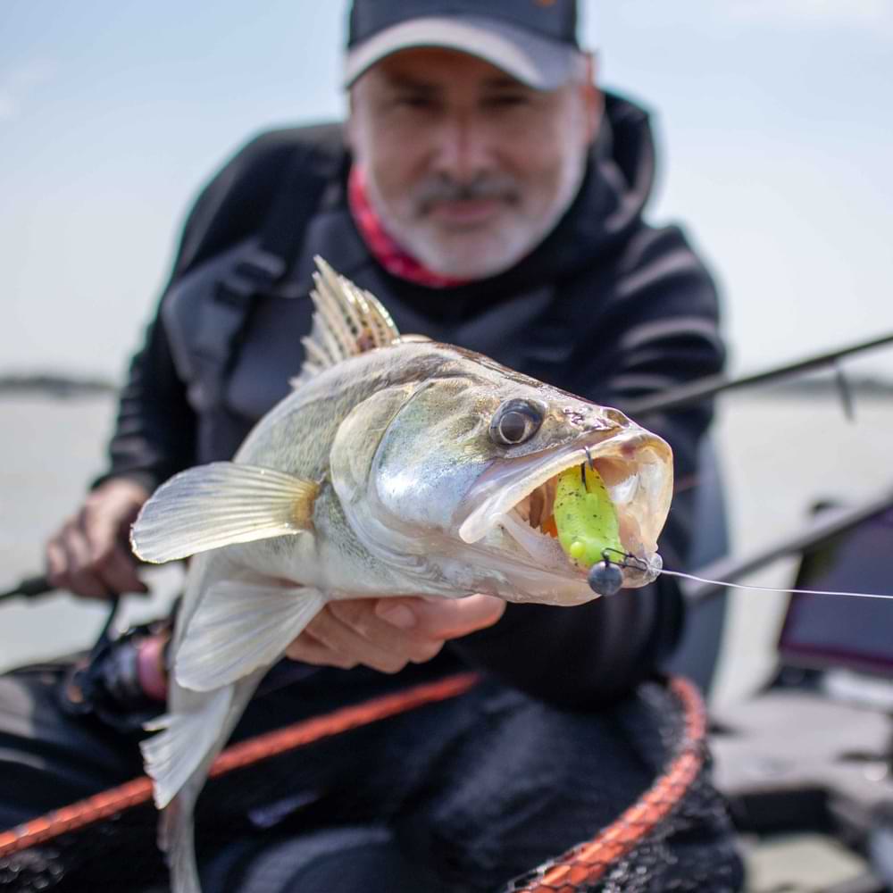 SAVAGE GEAR Gobster Shad 9cm 9g