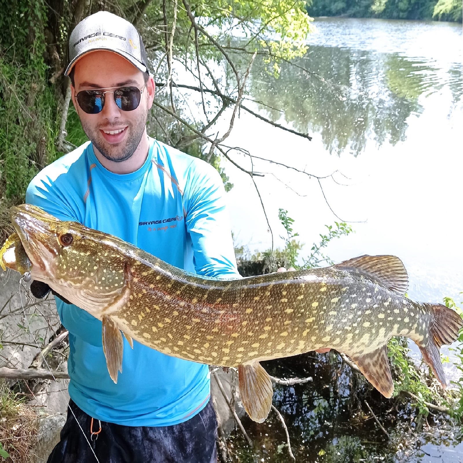 SAVAGE GEAR Gobster Shad 11.5cm 16g Holo Baitfish 5pcs