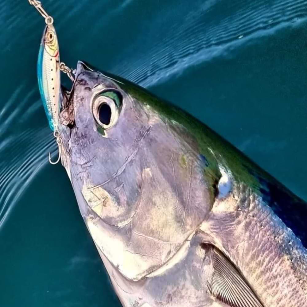 SAVAGE GEAR Gravity Pencil 7.5cm 25g Sinking