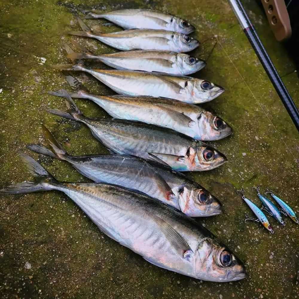 SAVAGE GEAR Gravity Pencil 4.5cm 5g Sinking