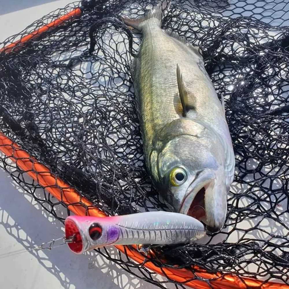 SAVAGE GEAR Gravity Popper 9cm 13.5g Floating