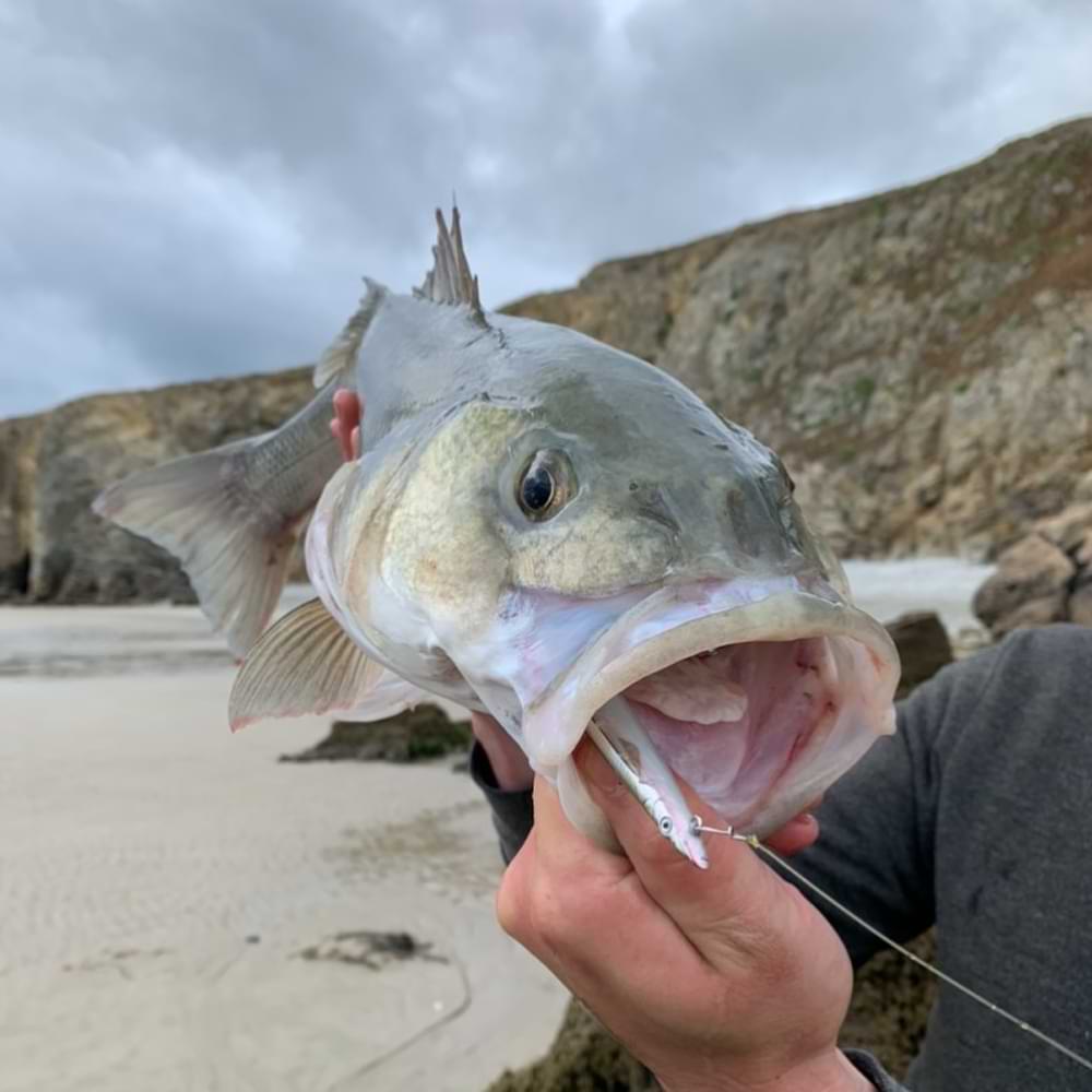 SAVAGE GEAR Sandeel Surfwalker 125 10g F