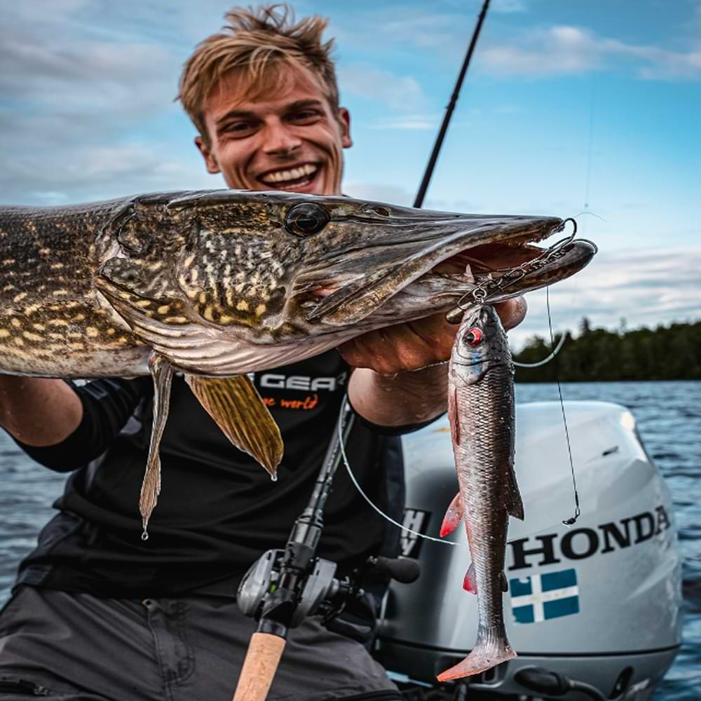 SAVAGE GEAR Revenge SG6 Vertical 1.98m XF 18-42g MH C