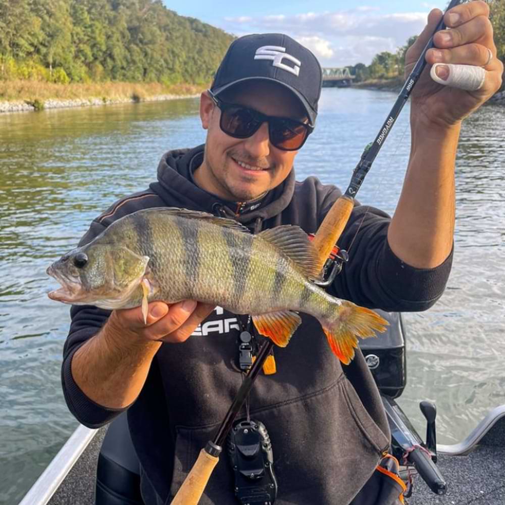 SAVAGE GEAR Revenge SG6 Medium Game 2.13m F 10-30g MML C