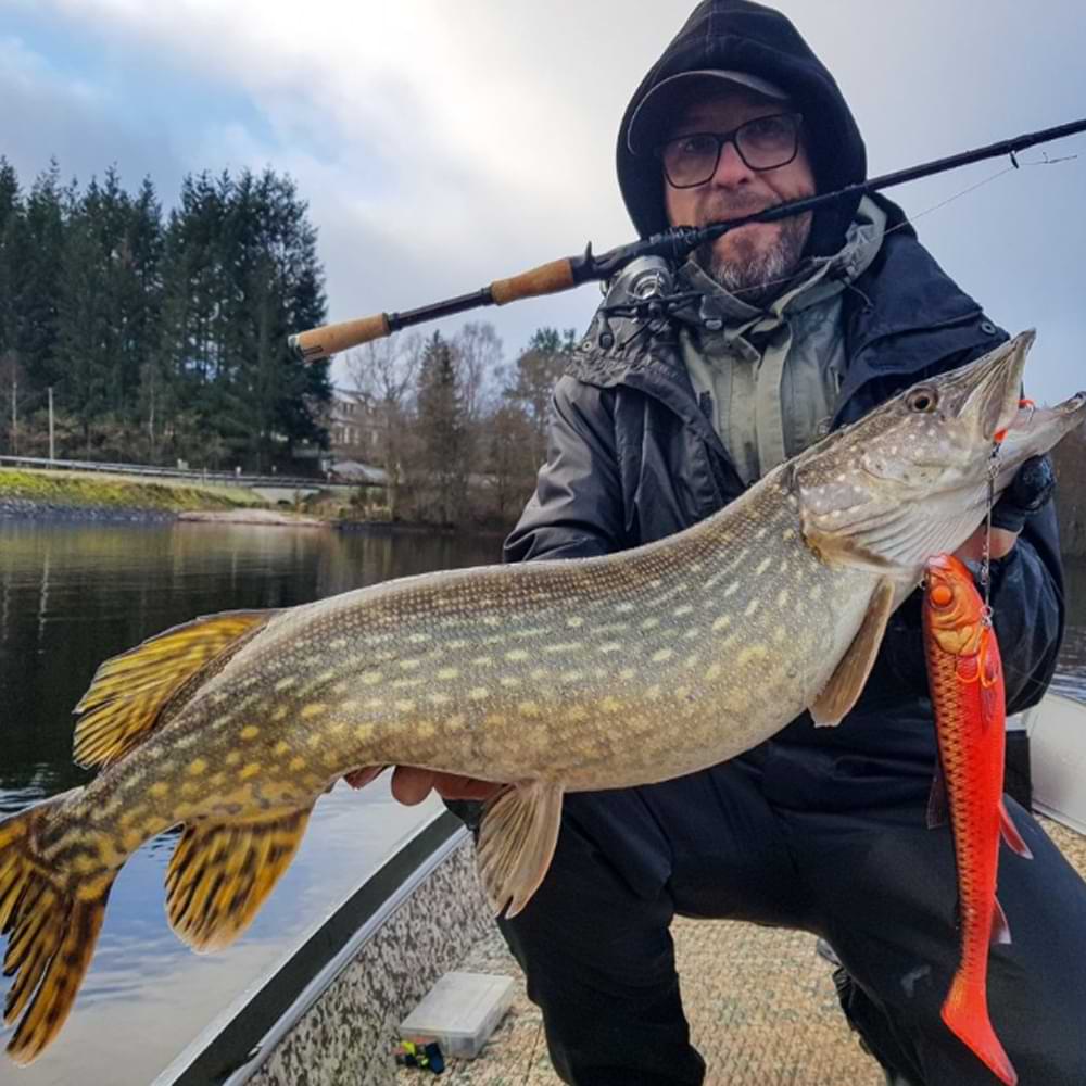 SAVAGE GEAR Revenge SG6 Medium Game 2.13m F 10-30g MML C