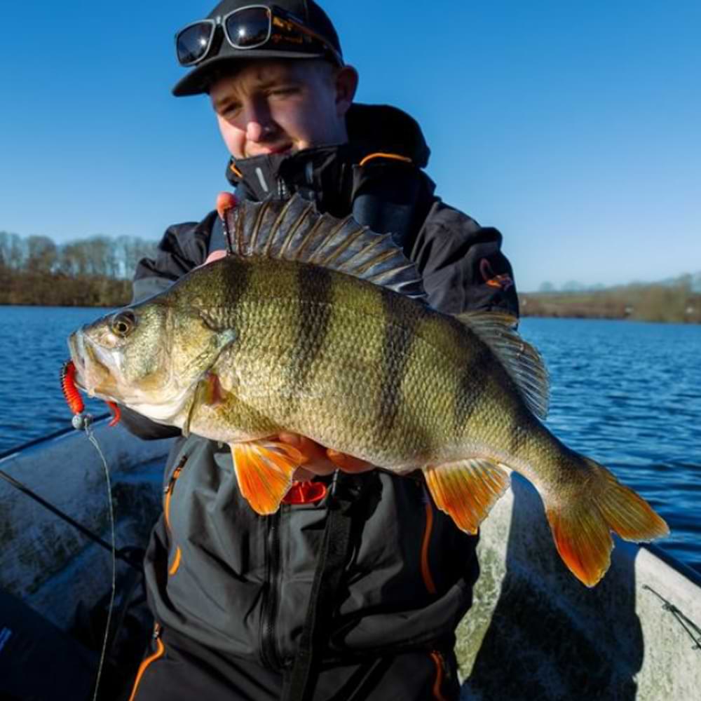 SAVAGE GEAR Revenge SG6 Medium Game 2.13m F 15-45g MH C