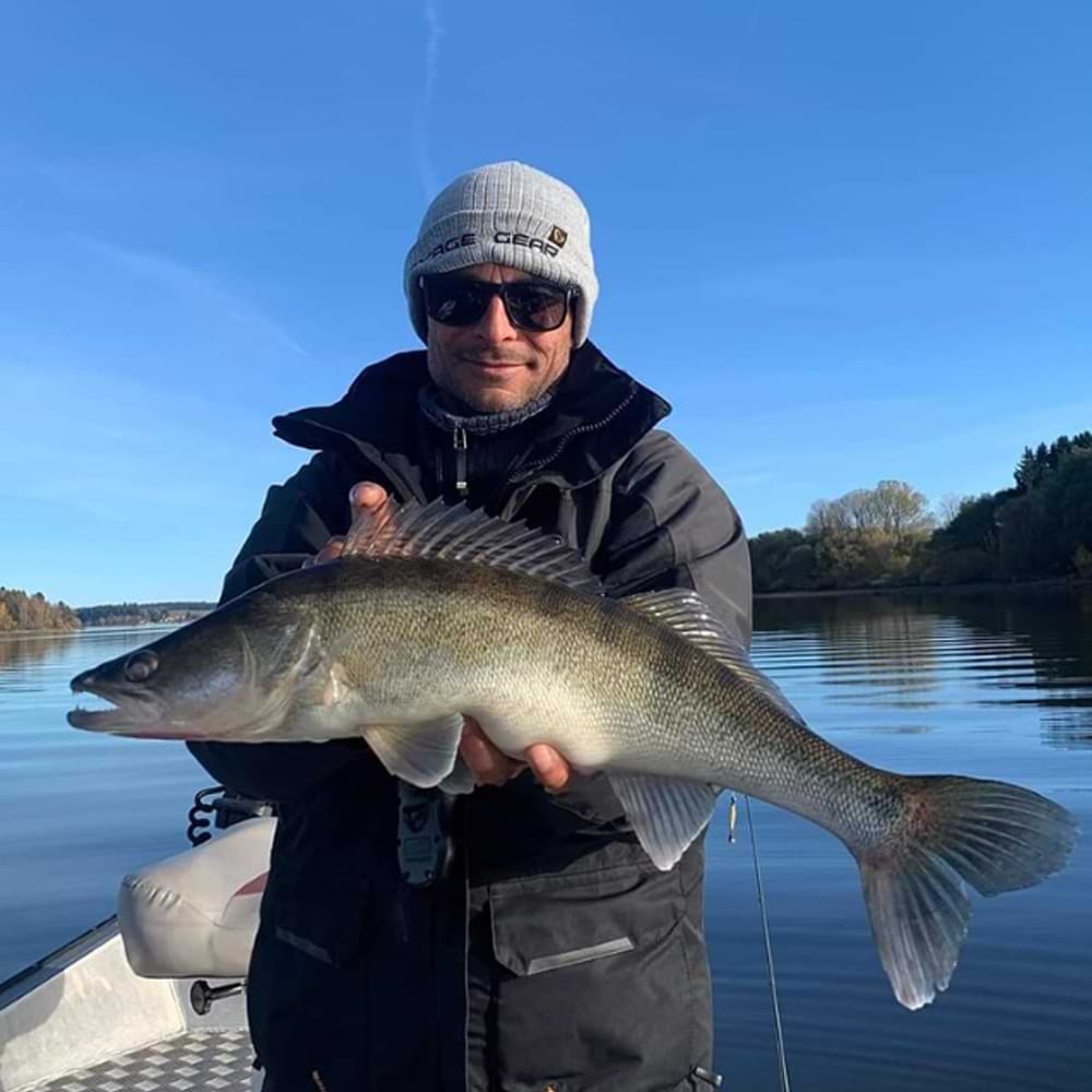 SAVAGE GEAR Revenge SG6 Medium Game 2.13m F 15-45g MH C