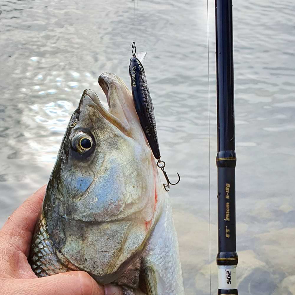 SAVAGE GEAR SG2 Light Game 7ft3inch 221cm 5-18g