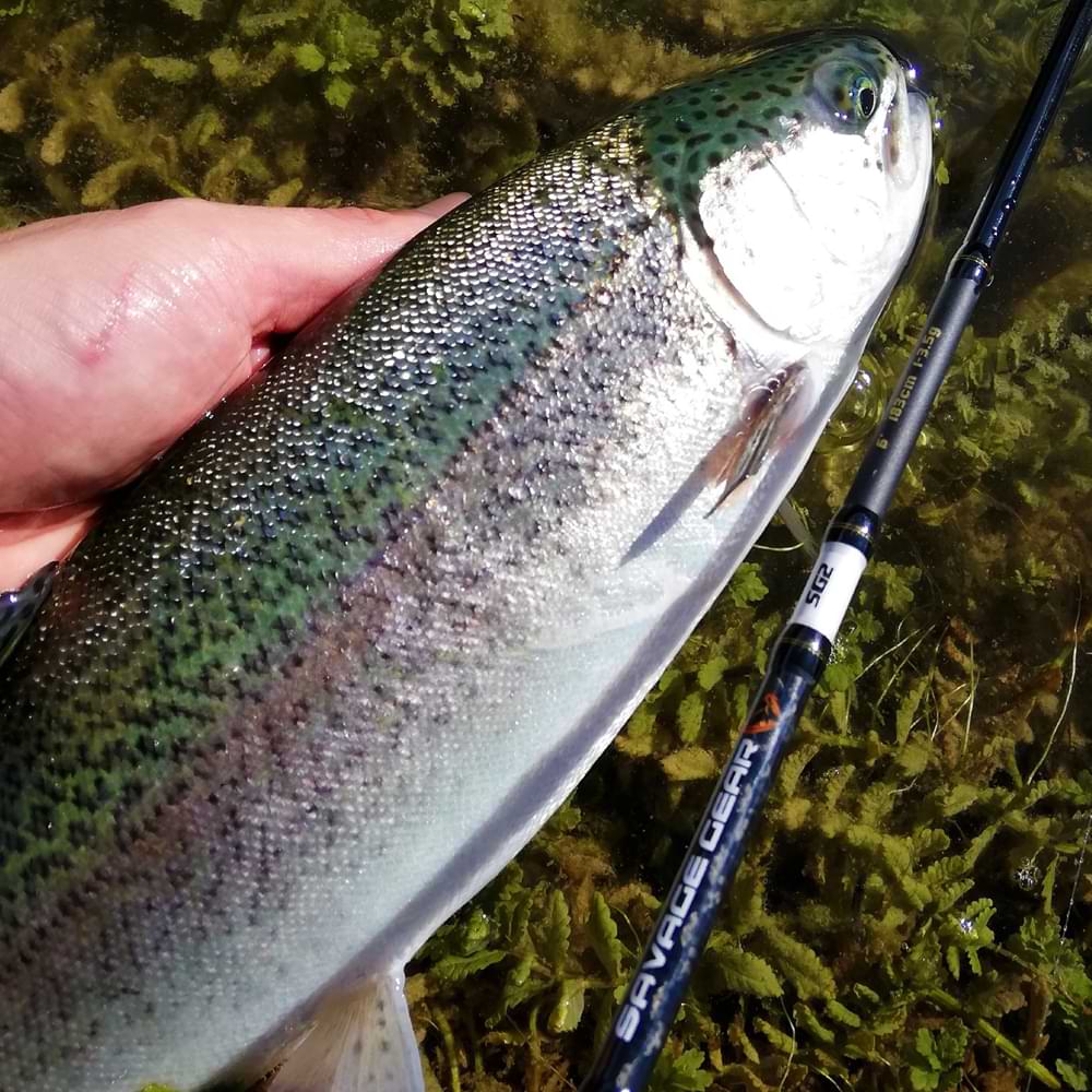 SAVAGE GEAR SG2 Micro Game 7ft 2.13m MF 1.5-5g