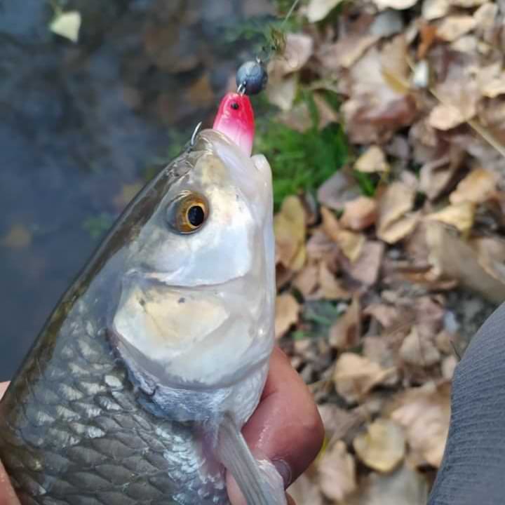 SAVAGE GEAR LB Cannibal 6.8cm 3g